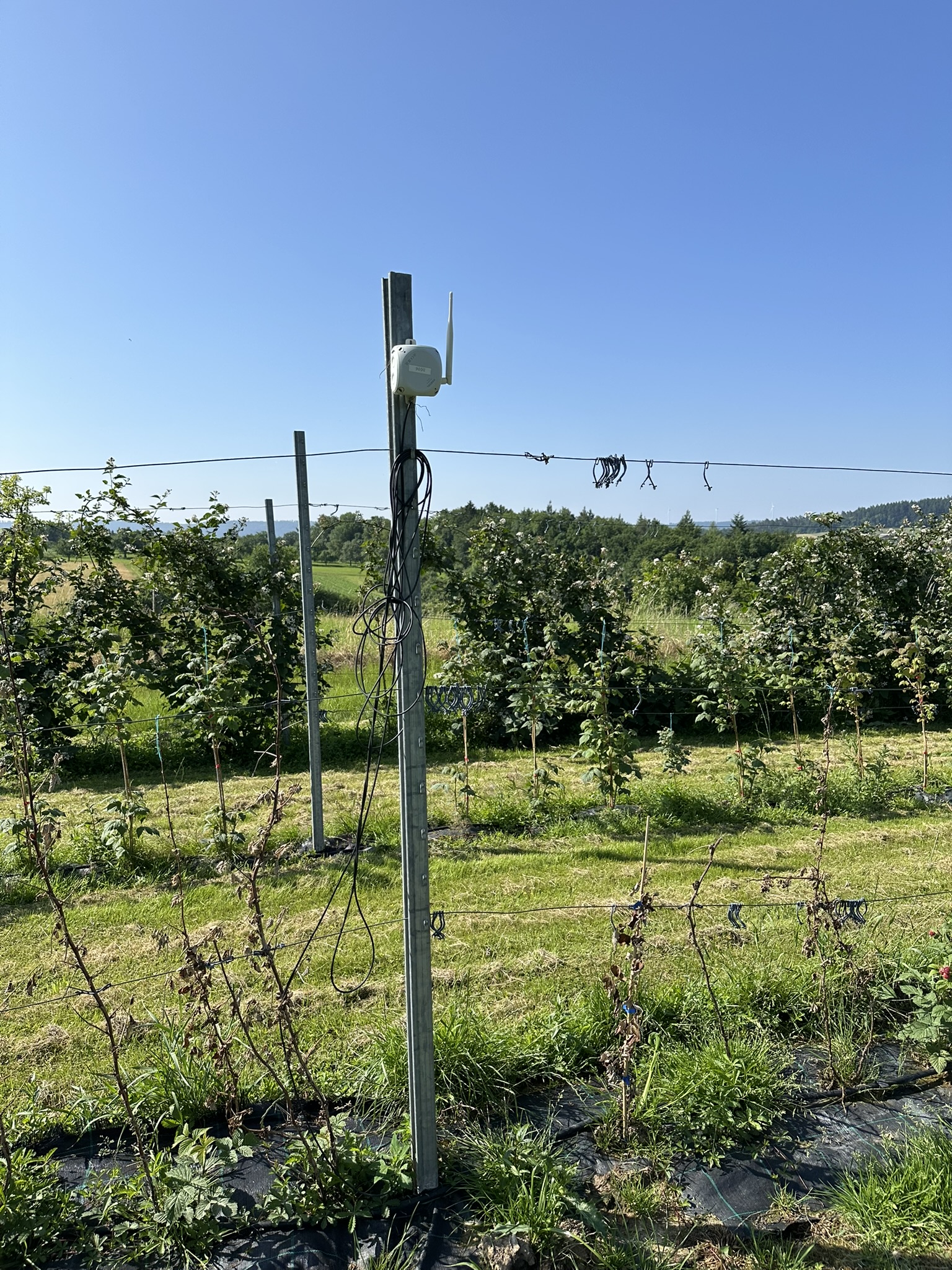 Feldblick Prototyp